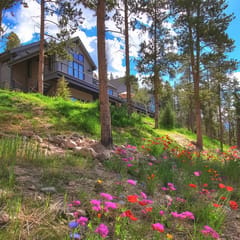 Breck Escape