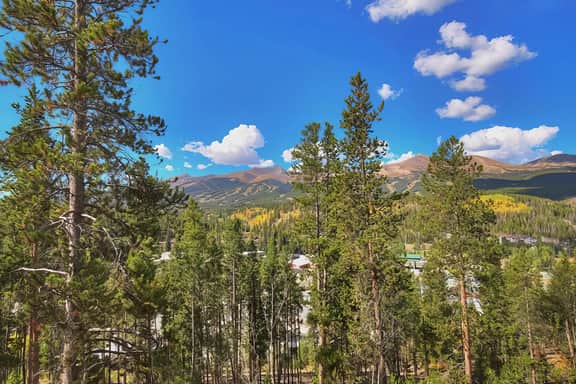 Breck Escape - Image 5