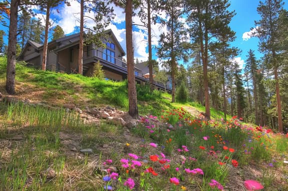 Breck Escape - Image 1